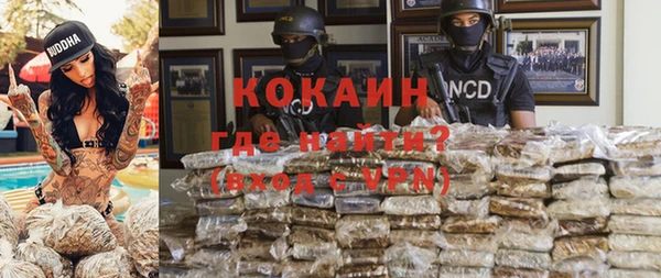 прущие грибы Арсеньев