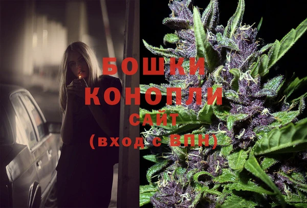 прущие грибы Арсеньев