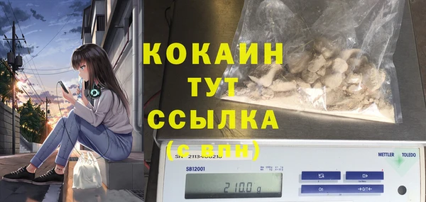 кокс Елизово
