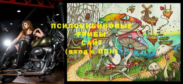 дмт Баксан