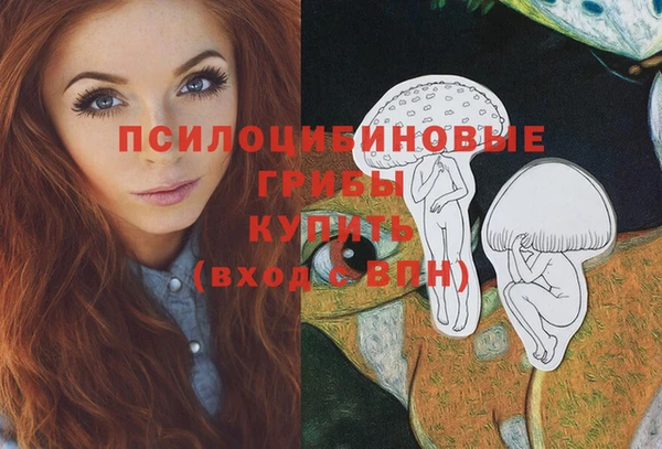 Альфа ПВП Аркадак